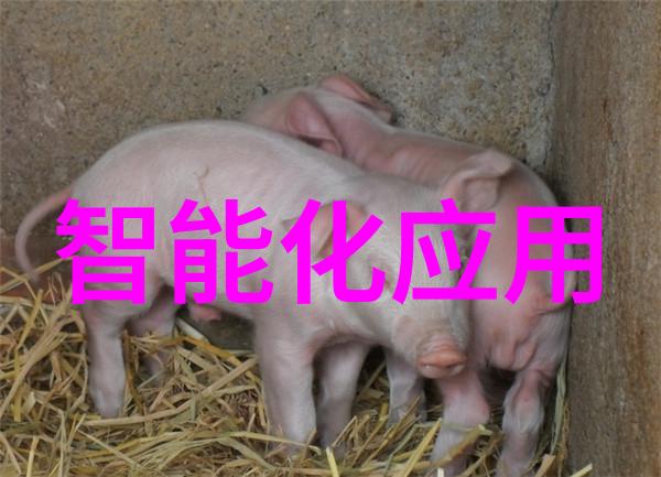 小米公布小米平板46月25日登场