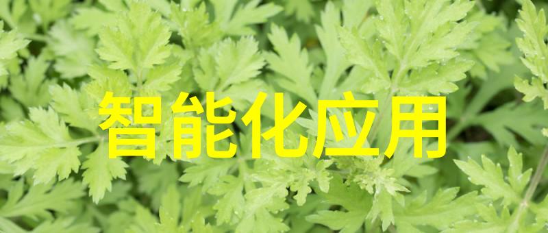 苹果公司申请视图交互专利效果为同时显示多应用程序视图