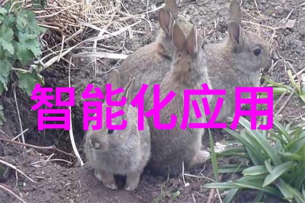 4英寸炫屏WP75 三星Omnia M深度体验
